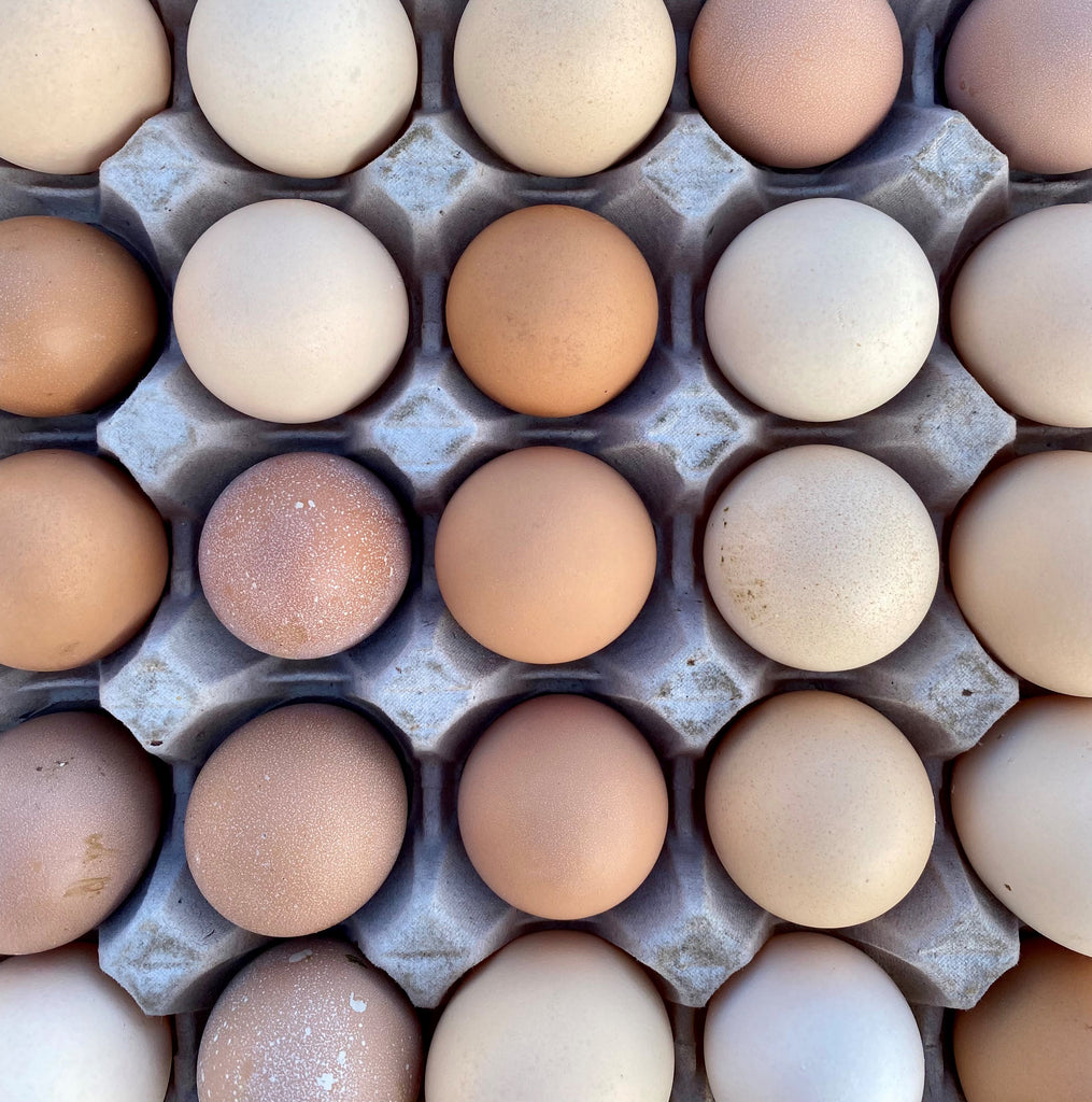 Balgove Free Range Eggs