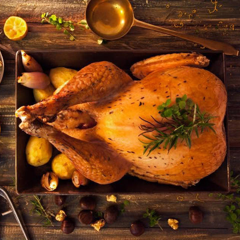 Thanksgiving Turkey
