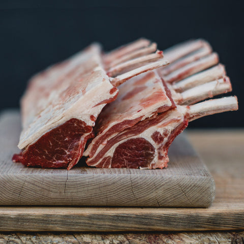 Lamb