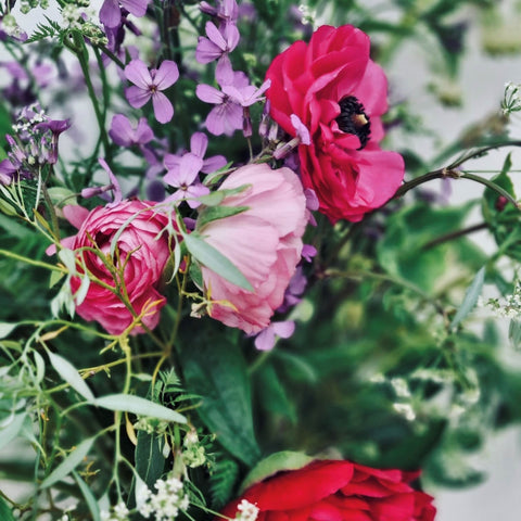 Garden Shed Floral Workshops & Garden Tours  2025