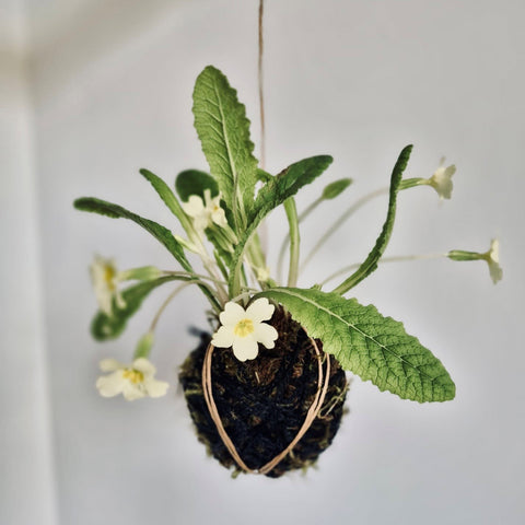 May Night Market Floral Workshop