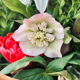 Seasonal Home Grown Hand Tied Bouquet