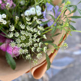 Home Grown Hand Tied Bouquet