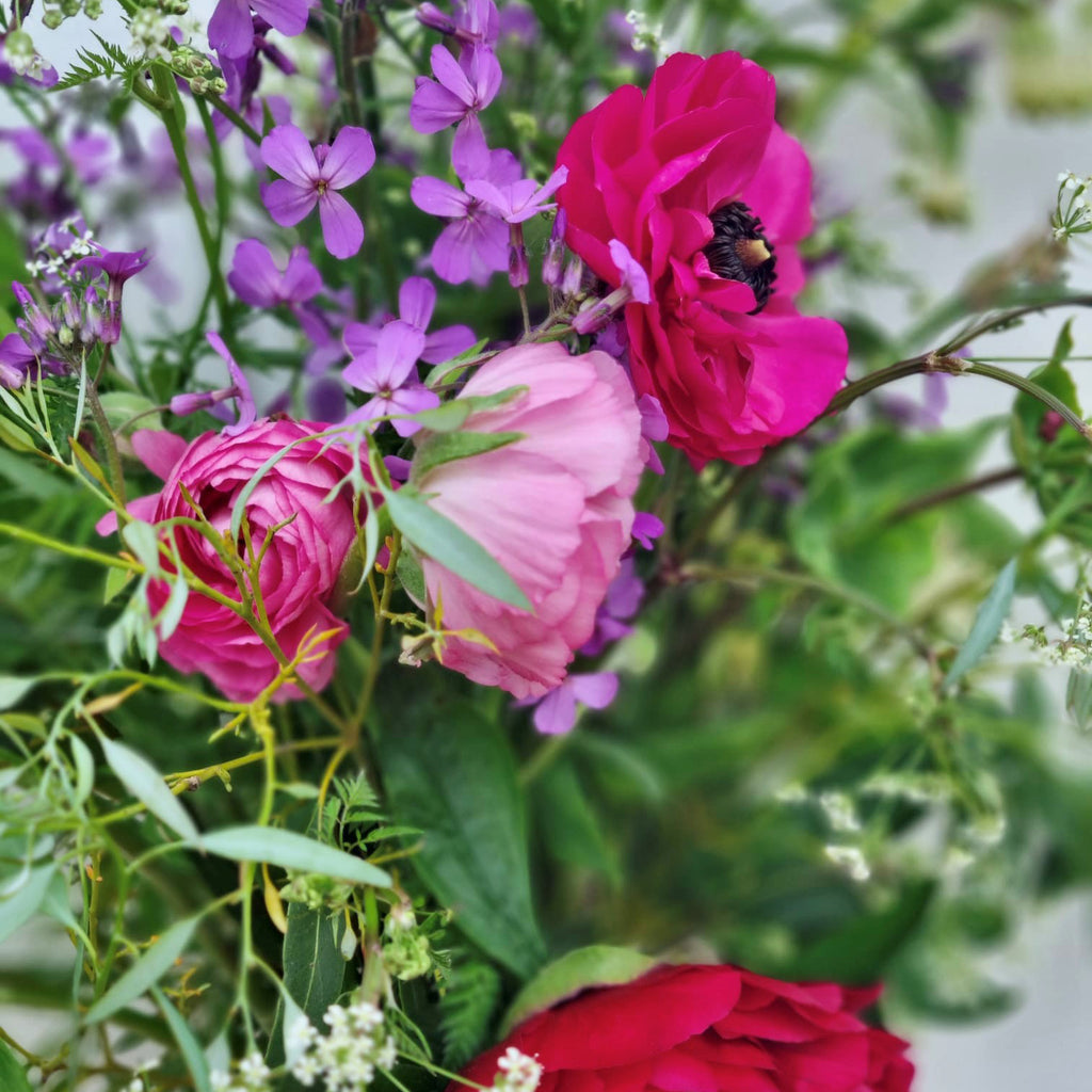 September Night Market Floral Balgove Larder Farm Shop