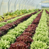 Meet the Grower Event