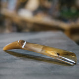 Shoehorn