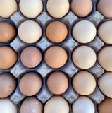 Balgove Free Range Eggs