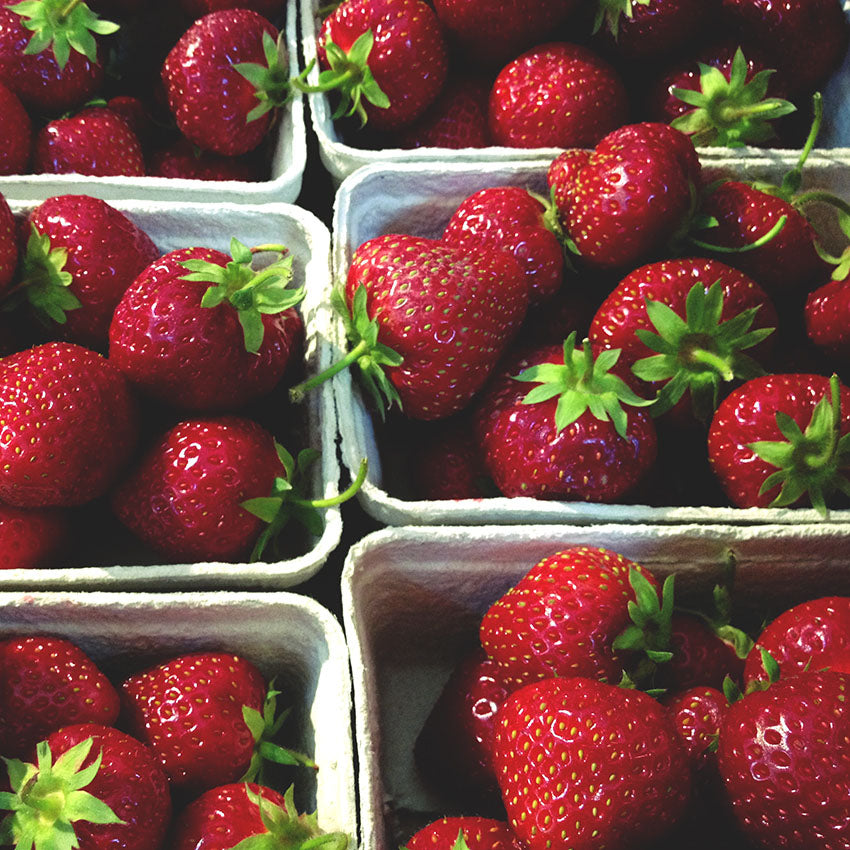 Fife Strawberries
