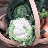 Veg Box