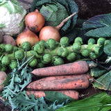 Veg Box