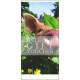 Balgove Gift Voucher