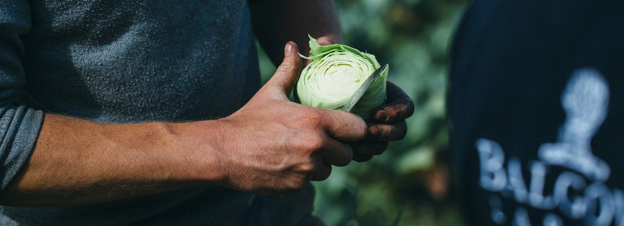 Balgove Larder Farm Shop